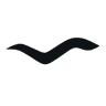 Elver